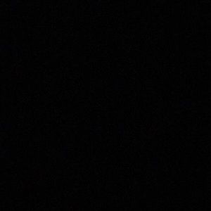 Meet your Posher, Lilly